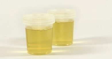 What Is Synthetic Urine? And Everything You Need to Know About It