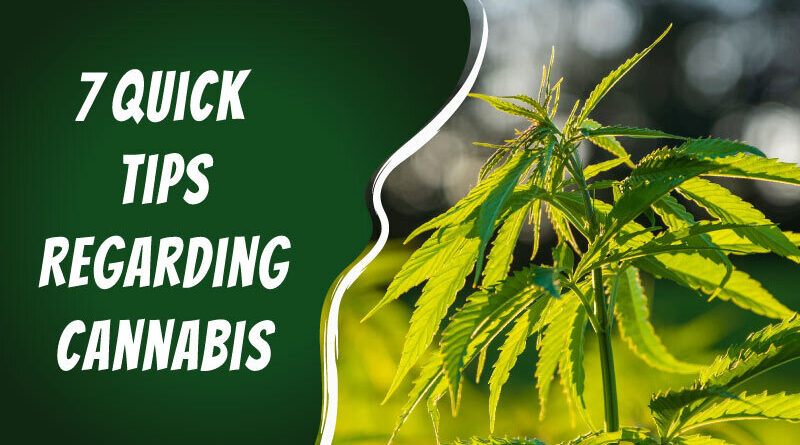 7 Quick Tips Regarding Cannabis