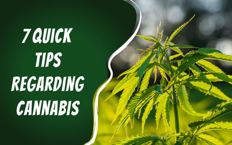 7 Quick Tips Regarding Cannabis