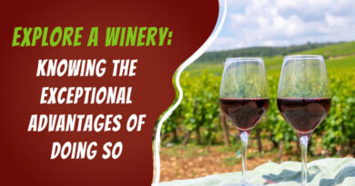Explore-a-Winery-Knowing-the-Exceptional-Advantages-of-Doing-So
