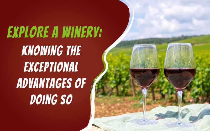 Explore-a-Winery-Knowing-the-Exceptional-Advantages-of-Doing-So