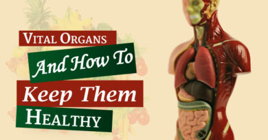 Vital-organs-and-how-to-keep-them-healthy