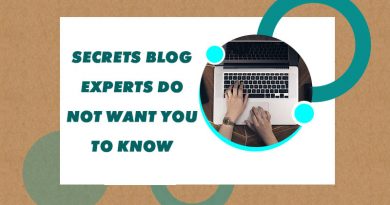Secrets Blog Experts Do Not Want You To Know