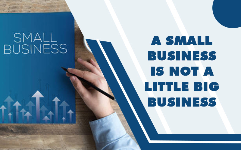 A Small Business Is Not a Little Big Business