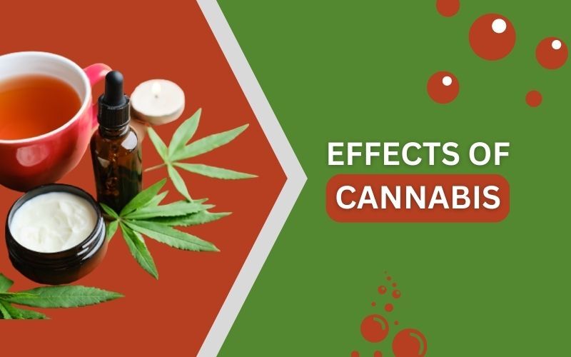 Effects of Cannabis
