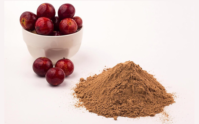 5 Unique Facts About Camu Camu Powder Will Definitely Surprise You