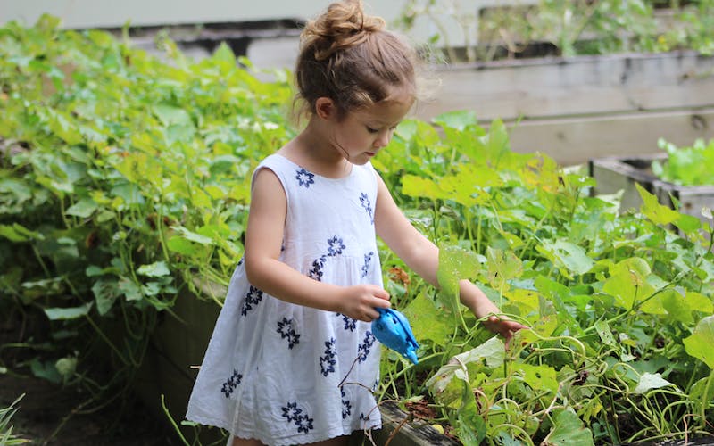 Revolutionizing Green Thumbs The Marriage of Gardening and AI