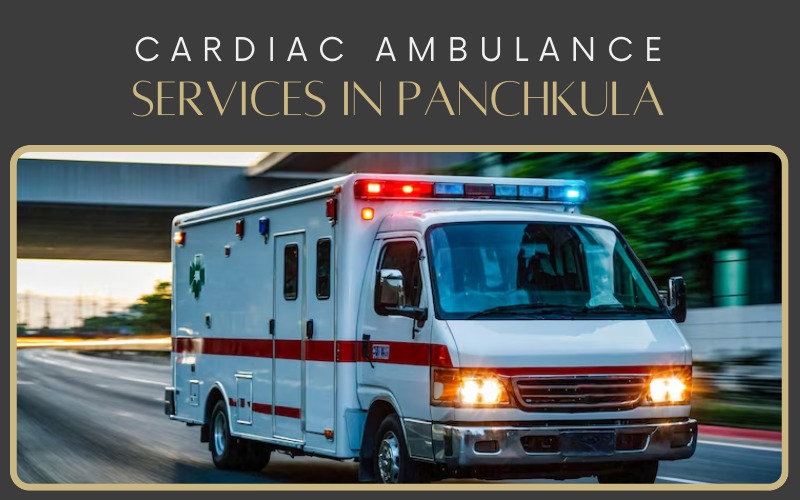 Ambulance Services In Panchkula